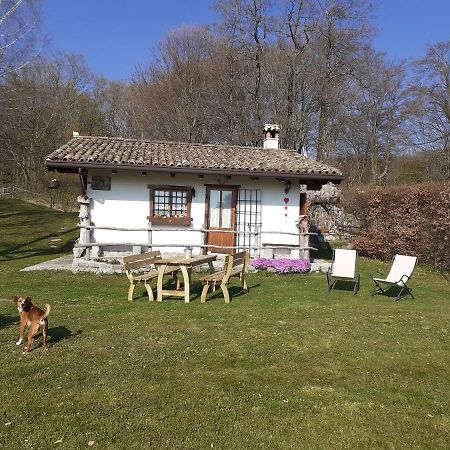 Baita Tana Da L'Ors Forgaria nel Friuli Eksteriør billede