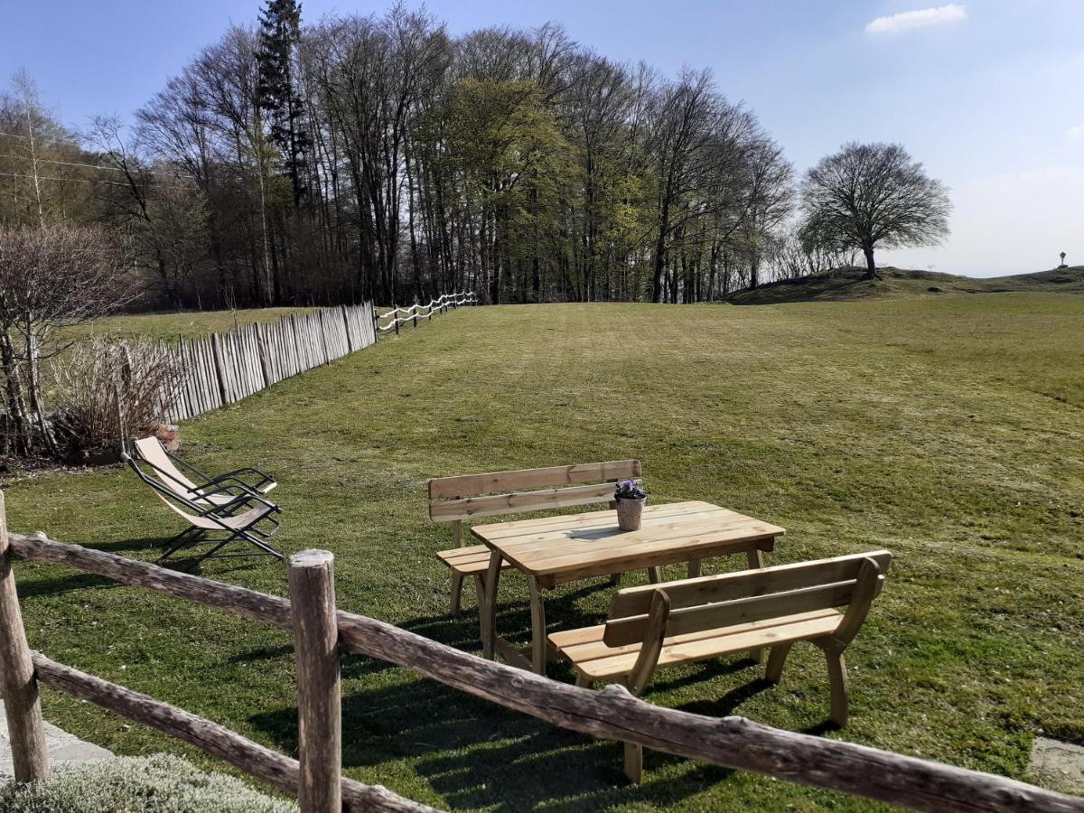 Baita Tana Da L'Ors Forgaria nel Friuli Eksteriør billede