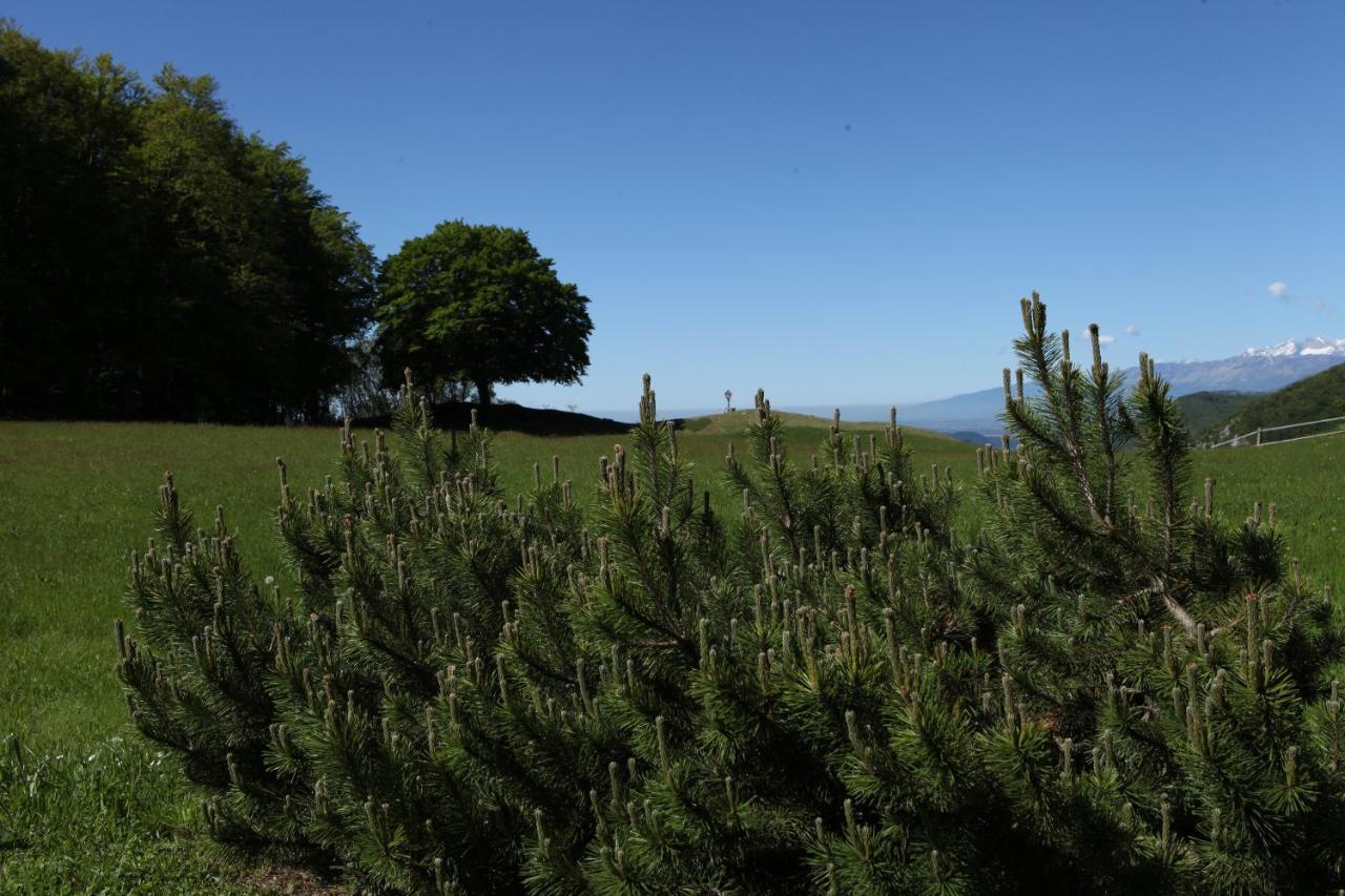 Baita Tana Da L'Ors Forgaria nel Friuli Eksteriør billede