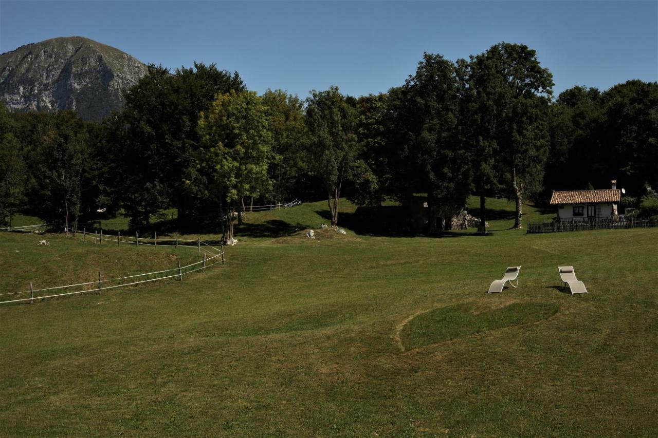 Baita Tana Da L'Ors Forgaria nel Friuli Eksteriør billede